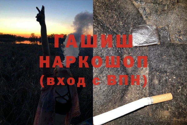 эйфоретик Покачи