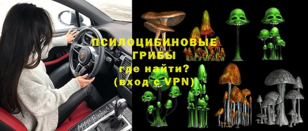 ГАЛЛЮЦИНОГЕННЫЕ ГРИБЫ Нягань
