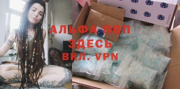 эйфоретик Покачи