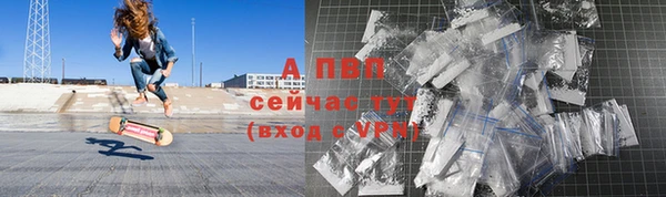 эйфоретик Покачи
