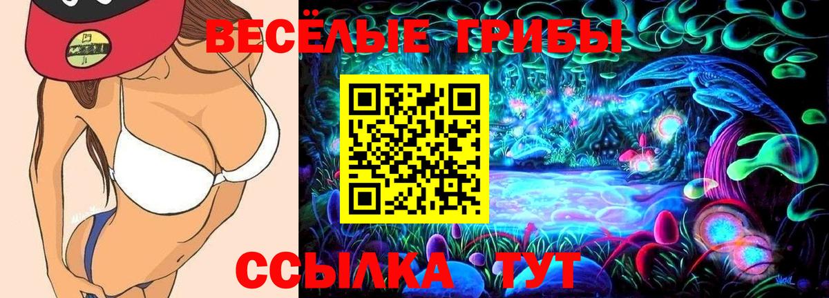 Псилоцибиновые грибы Psilocybe Чебаркуль