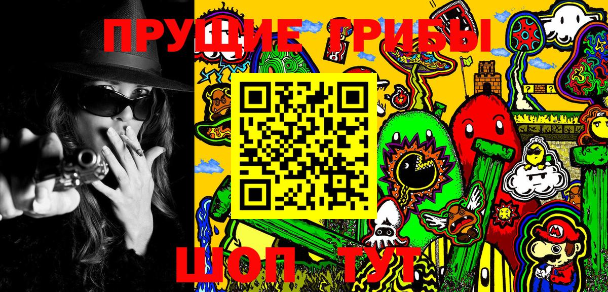 Чебаркуль  Псилоцибиновые грибы Psilocybine cubensis  Вход с VPN 